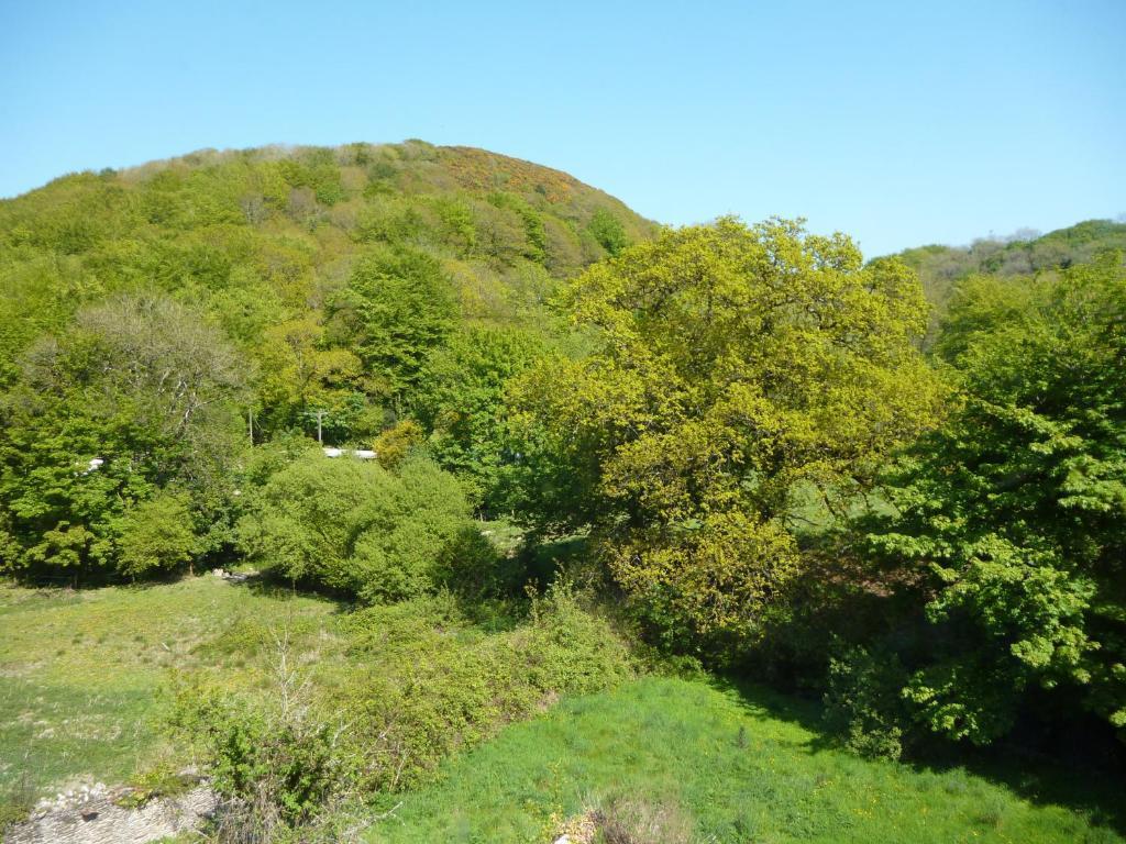 Score Valley Country House Ilfracombe Room photo